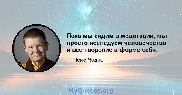 Пока мы сидим в медитации, мы просто исследуем человечество и все творение в форме себя.