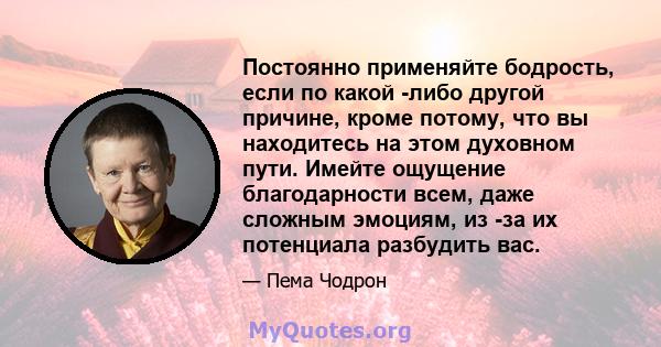 Постоянно применяйте бодрость, если по какой -либо другой причине, кроме потому, что вы находитесь на этом духовном пути. Имейте ощущение благодарности всем, даже сложным эмоциям, из -за их потенциала разбудить вас.