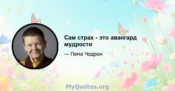 Сам страх - это авангард мудрости