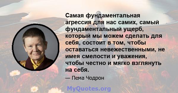 Самая фундаментальная агрессия для нас самих, самый фундаментальный ущерб, который мы можем сделать для себя, состоит в том, чтобы оставаться невежественными, не имея смелости и уважения, чтобы честно и мягко взглянуть