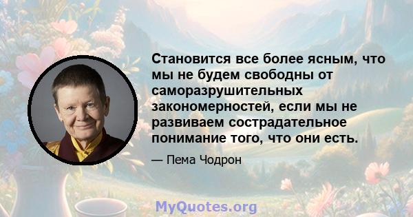 Становится все более ясным, что мы не будем свободны от саморазрушительных закономерностей, если мы не развиваем сострадательное понимание того, что они есть.