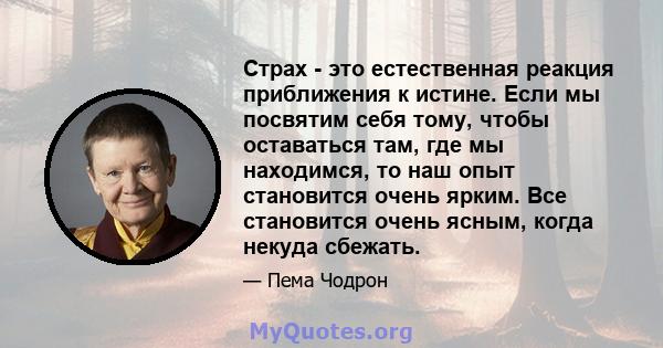 Страх - это естественная реакция приближения к истине. Если мы посвятим себя тому, чтобы оставаться там, где мы находимся, то наш опыт становится очень ярким. Все становится очень ясным, когда некуда сбежать.