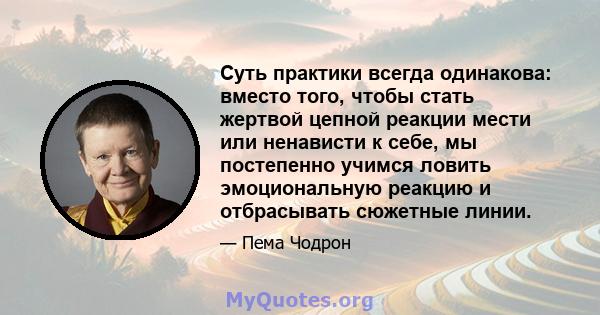 Суть практики всегда одинакова: вместо того, чтобы стать жертвой цепной реакции мести или ненависти к себе, мы постепенно учимся ловить эмоциональную реакцию и отбрасывать сюжетные линии.