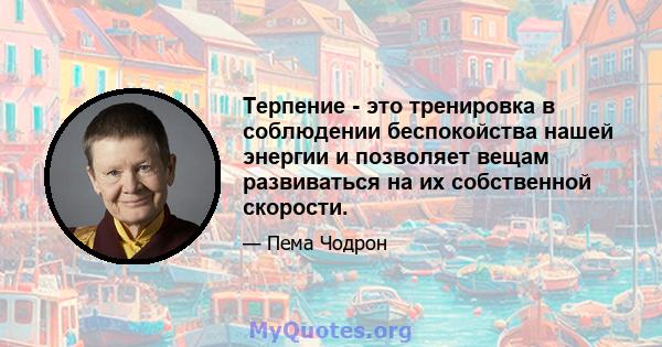 Терпение - это тренировка в соблюдении беспокойства нашей энергии и позволяет вещам развиваться на их собственной скорости.