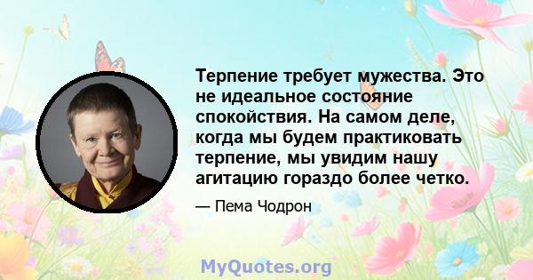 Терпение требует мужества. Это не идеальное состояние спокойствия. На самом деле, когда мы будем практиковать терпение, мы увидим нашу агитацию гораздо более четко.