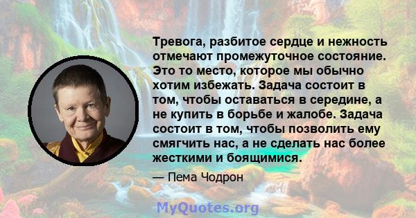 Тревога, разбитое сердце и нежность отмечают промежуточное состояние. Это то место, которое мы обычно хотим избежать. Задача состоит в том, чтобы оставаться в середине, а не купить в борьбе и жалобе. Задача состоит в