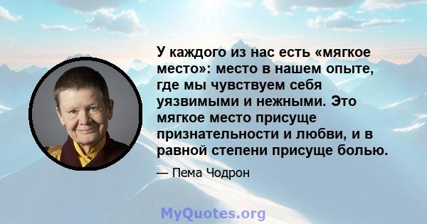 У каждого из нас есть «мягкое место»: место в нашем опыте, где мы чувствуем себя уязвимыми и нежными. Это мягкое место присуще признательности и любви, и в равной степени присуще болью.