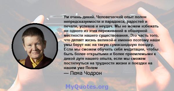 Ум очень дикий. Человеческий опыт полон непредсказуемости и парадокса, радостей и печали, успехов и неудач. Мы не можем избежать ни одного из этих переживаний в обширной местности нашего существования. Это часть того,