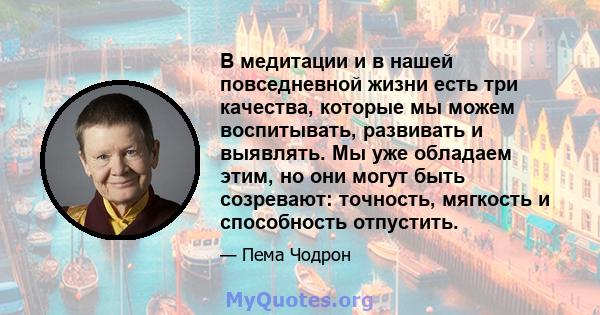 В медитации и в нашей повседневной жизни есть три качества, которые мы можем воспитывать, развивать и выявлять. Мы уже обладаем этим, но они могут быть созревают: точность, мягкость и способность отпустить.