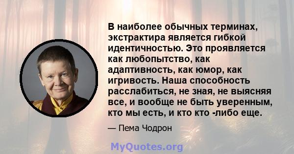 В наиболее обычных терминах, экстрактира является гибкой идентичностью. Это проявляется как любопытство, как адаптивность, как юмор, как игривость. Наша способность расслабиться, не зная, не выясняя все, и вообще не