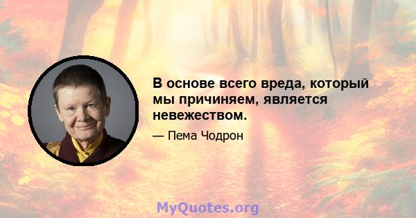 В основе всего вреда, который мы причиняем, является невежеством.