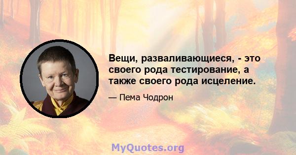 Вещи, разваливающиеся, - это своего рода тестирование, а также своего рода исцеление.