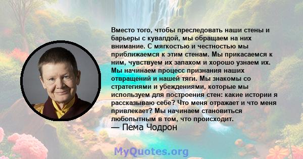 Вместо того, чтобы преследовать наши стены и барьеры с кувалдой, мы обращаем на них внимание. С мягкостью и честностью мы приближаемся к этим стенам. Мы прикасаемся к ним, чувствуем их запахом и хорошо узнаем их. Мы