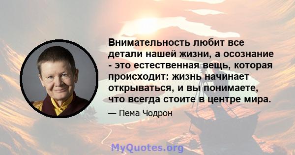 Внимательность любит все детали нашей жизни, а осознание - это естественная вещь, которая происходит: жизнь начинает открываться, и вы понимаете, что всегда стоите в центре мира.