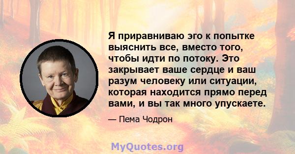 Я приравниваю эго к попытке выяснить все, вместо того, чтобы идти по потоку. Это закрывает ваше сердце и ваш разум человеку или ситуации, которая находится прямо перед вами, и вы так много упускаете.