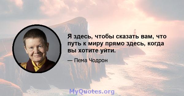 Я здесь, чтобы сказать вам, что путь к миру прямо здесь, когда вы хотите уйти.