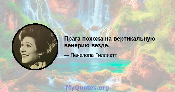 Прага похожа на вертикальную венерию везде.