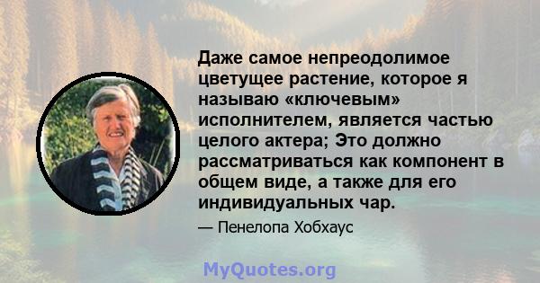 Даже самое непреодолимое цветущее растение, которое я называю «ключевым» исполнителем, является частью целого актера; Это должно рассматриваться как компонент в общем виде, а также для его индивидуальных чар.