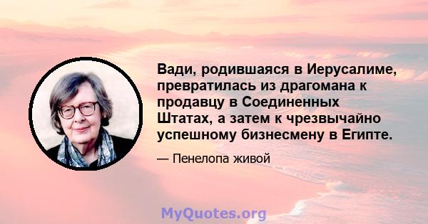 Вади, родившаяся в Иерусалиме, превратилась из драгомана к продавцу в Соединенных Штатах, а затем к чрезвычайно успешному бизнесмену в Египте.