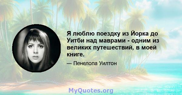 Я люблю поездку из Йорка до Уитби над маврами - одним из великих путешествий, в моей книге.