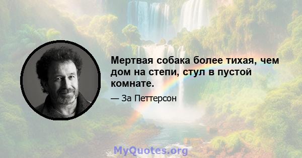 Мертвая собака более тихая, чем дом на степи, стул в пустой комнате.