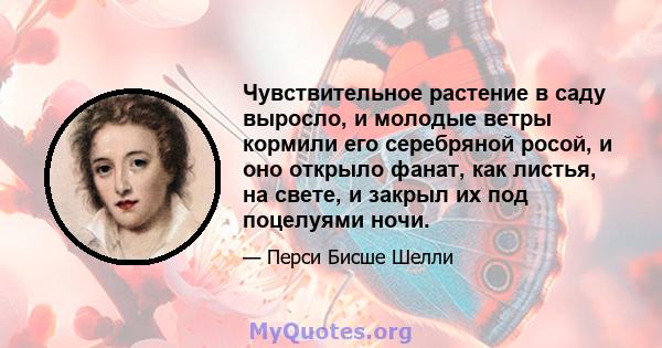 Чувствительное растение в саду выросло, и молодые ветры кормили его серебряной росой, и оно открыло фанат, как листья, на свете, и закрыл их под поцелуями ночи.