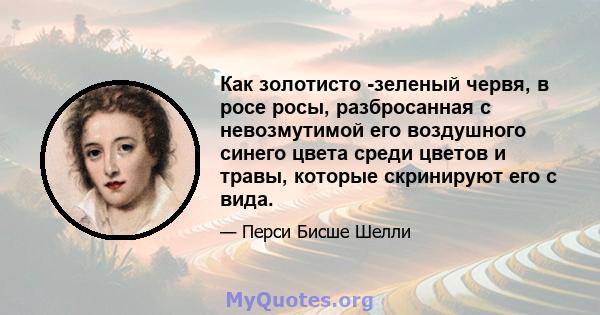 Как золотисто -зеленый червя, в росе росы, разбросанная с невозмутимой его воздушного синего цвета среди цветов и травы, которые скринируют его с вида.