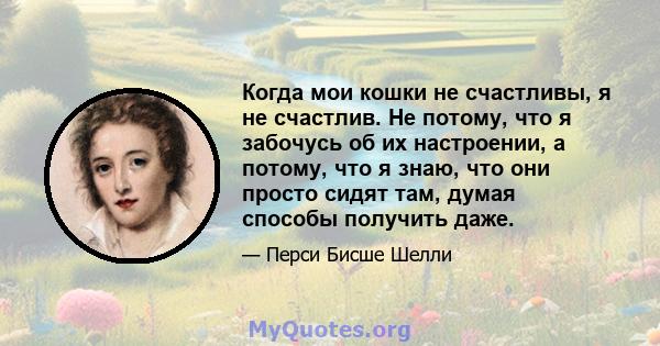 Когда мои кошки не счастливы, я не счастлив. Не потому, что я забочусь об их настроении, а потому, что я знаю, что они просто сидят там, думая способы получить даже.