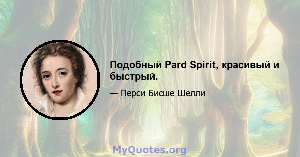 Подобный Pard Spirit, красивый и быстрый.