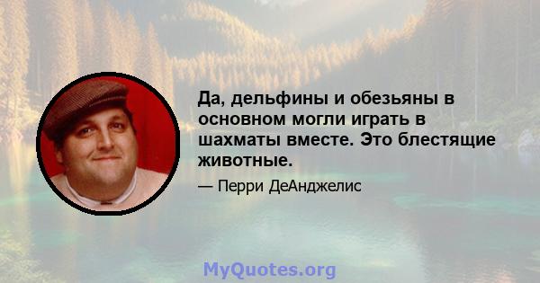 Да, дельфины и обезьяны в основном могли играть в шахматы вместе. Это блестящие животные.