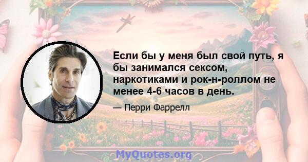 Если бы у меня был свой путь, я бы занимался сексом, наркотиками и рок-н-роллом не менее 4-6 часов в день.