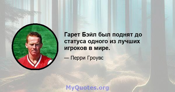 Гарет Бэйл был поднят до статуса одного из лучших игроков в мире.