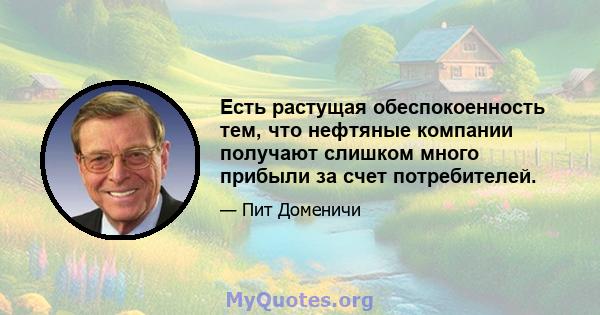 Есть растущая обеспокоенность тем, что нефтяные компании получают слишком много прибыли за счет потребителей.