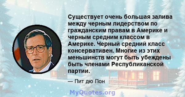 Существует очень большая залива между черным лидерством по гражданским правам в Америке и черным средним классом в Америке. Черный средний класс консервативен. Многие из этих меньшинств могут быть убеждены быть членами