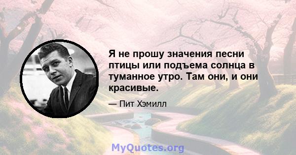 Я не прошу значения песни птицы или подъема солнца в туманное утро. Там они, и они красивые.