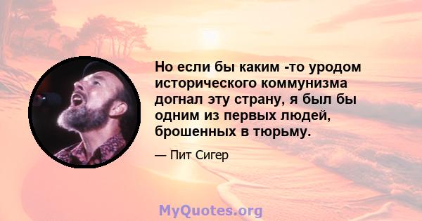 Но если бы каким -то уродом исторического коммунизма догнал эту страну, я был бы одним из первых людей, брошенных в тюрьму.