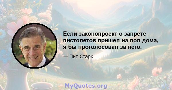 Если законопроект о запрете пистолетов пришел на пол дома, я бы проголосовал за него.