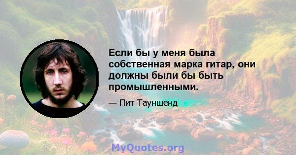 Если бы у меня была собственная марка гитар, они должны были бы быть промышленными.