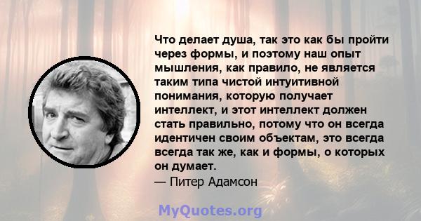 Что делает душа, так это как бы пройти через формы, и поэтому наш опыт мышления, как правило, не является таким типа чистой интуитивной понимания, которую получает интеллект, и этот интеллект должен стать правильно,