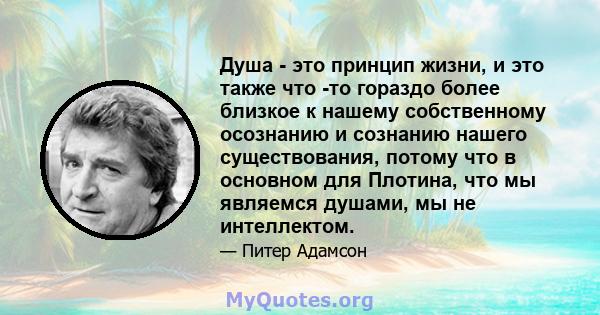 Душа - это принцип жизни, и это также что -то гораздо более близкое к нашему собственному осознанию и сознанию нашего существования, потому что в основном для Плотина, что мы являемся душами, мы не интеллектом.