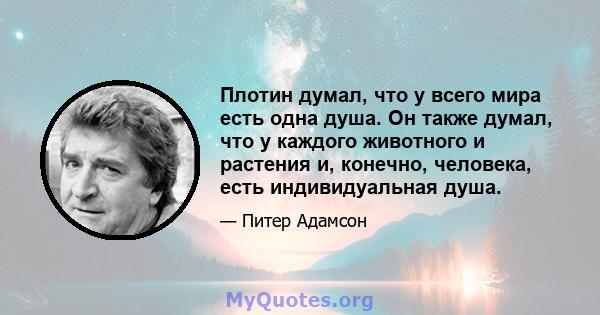 Плотин думал, что у всего мира есть одна душа. Он также думал, что у каждого животного и растения и, конечно, человека, есть индивидуальная душа.