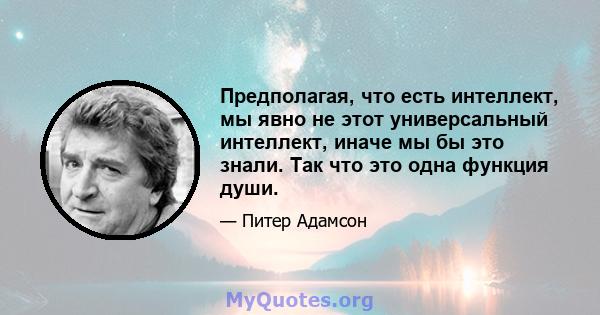 Предполагая, что есть интеллект, мы явно не этот универсальный интеллект, иначе мы бы это знали. Так что это одна функция души.