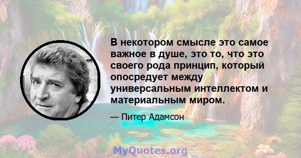 В некотором смысле это самое важное в душе, это то, что это своего рода принцип, который опосредует между универсальным интеллектом и материальным миром.