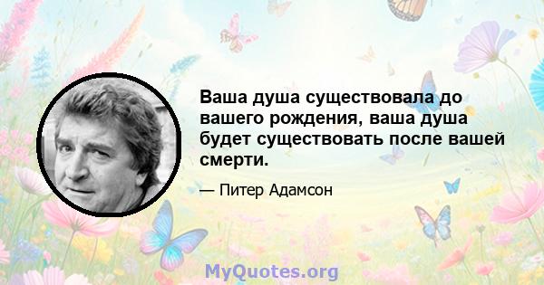 Ваша душа существовала до вашего рождения, ваша душа будет существовать после вашей смерти.