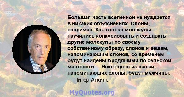 Большая часть вселенной не нуждается в никаких объяснениях. Слоны, например. Как только молекулы научились конкурировать и создавать другие молекулы по своему собственному образу, слонов и вещам, напоминающим слонов, со 