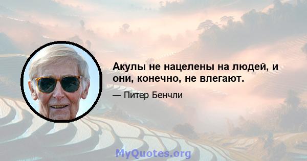 Акулы не нацелены на людей, и они, конечно, не влегают.