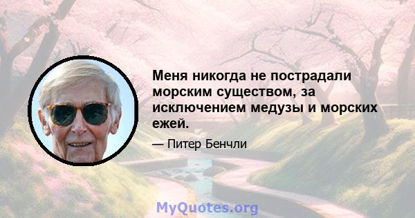 Меня никогда не пострадали морским существом, за исключением медузы и морских ежей.