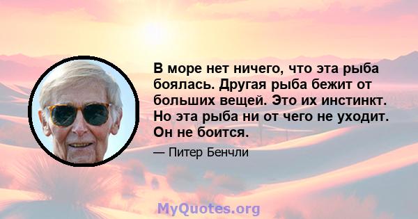 В море нет ничего, что эта рыба боялась. Другая рыба бежит от больших вещей. Это их инстинкт. Но эта рыба ни от чего не уходит. Он не боится.