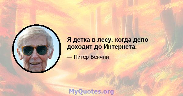 Я детка в лесу, когда дело доходит до Интернета.