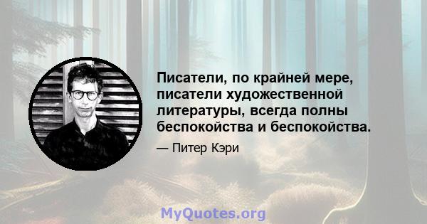 Писатели, по крайней мере, писатели художественной литературы, всегда полны беспокойства и беспокойства.